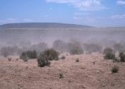 Wind erosion